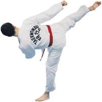 https://colognykarateclub.ch/wp-content/uploads/2022/09/Taekwondo-Art-du-jeu-de-jambes.jpg