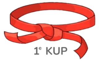 https://colognykarateclub.ch/wp-content/uploads/2022/10/Tae-Kwon-Do-Ceinture-rouge-1er-KUP-320x199.png