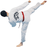 https://colognykarateclub.ch/wp-content/uploads/2022/10/Taekwondo-Art-du-jeu-de-jambes.png