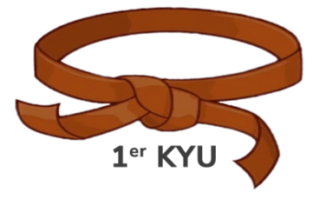 https://colognykarateclub.ch/wp-content/uploads/2022/11/Judo-1er-KYU-320x199.png