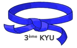 https://colognykarateclub.ch/wp-content/uploads/2022/11/Judo-3eme-KYU-320x199.png